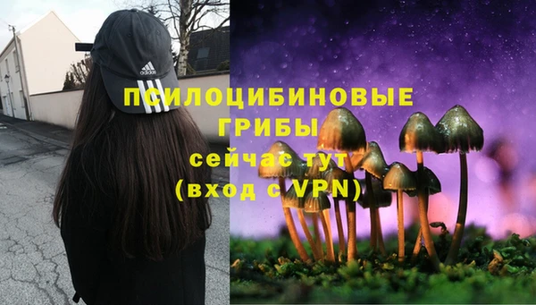 PSILOCYBIN Баксан