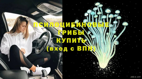 PSILOCYBIN Баксан
